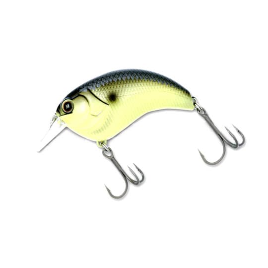 Deps Evoke 2.0 UV Color