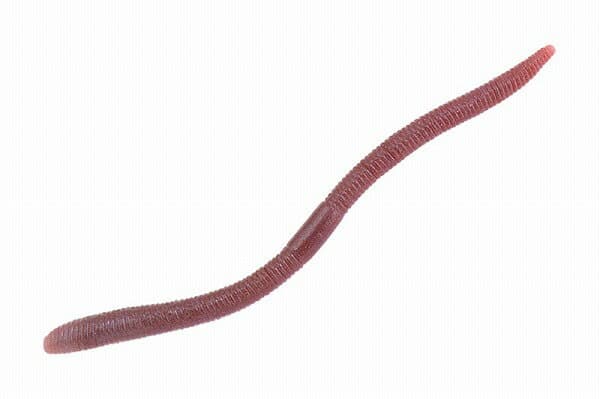 Jackall Flick Shake 3.8 2-Tone Doba Mimizu