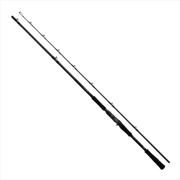 Daiwa 24 Saltist 96MHB