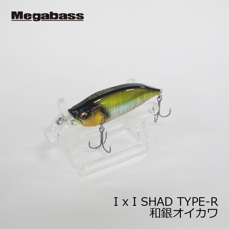Megabass IXI Shad Type-R Wakasagi Oikawa