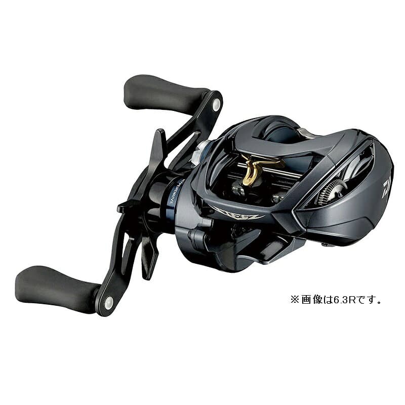 Daiwa 21 Steez A TW HLC 7.1R