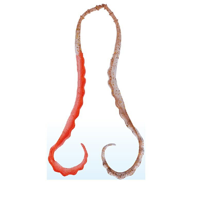 Gamakatsu Sakuragen 3D Soft Necktie #27 Orange Gold/Coral