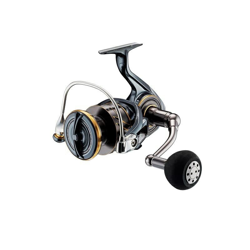 Daiwa 22 Cardia SW 6000D-H Spinning Reel