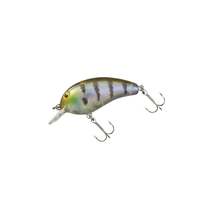 Daiwa Peanut SR Raw Gill