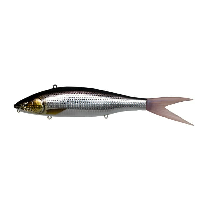 Fish Arrow VT-JACK230 #08 Konoshiro