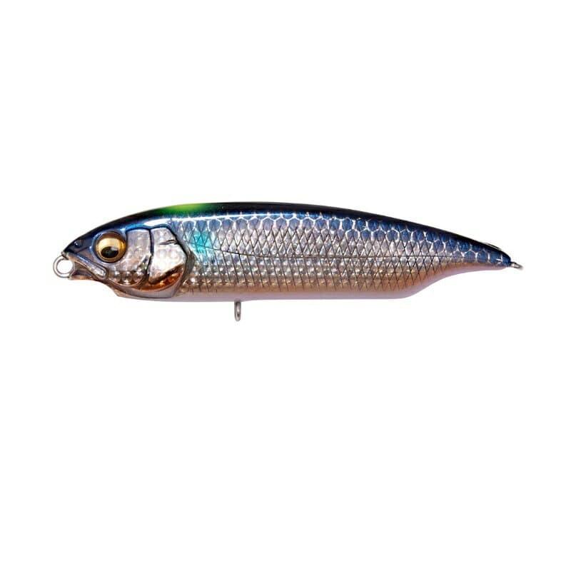 Megabass Karashi SW SS #DD Signal Inakko