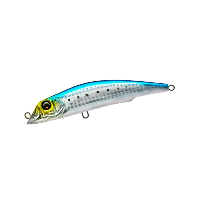Duel Aile Magnet TG Darter 125F 03 HIW Iwashi