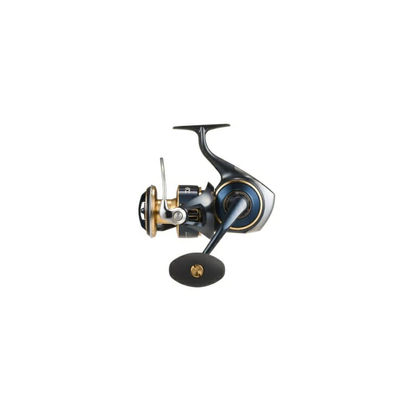 Daiwa 25 Saltiga 8000-H