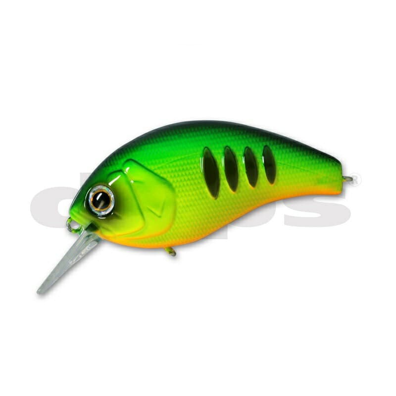 Deps Korrigan Magnum 350 #41 Dot Tiger