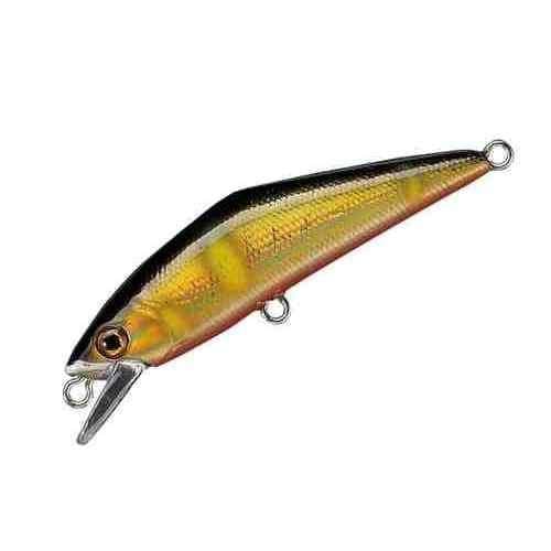 Smith D Contact 50 #24 G Ayu