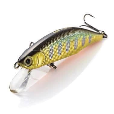 Jackson Meteora TSD Tennessee Shad