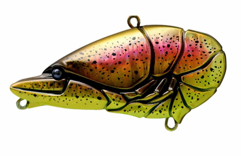Issei G.C. Zarivib 67 #50 Murakami Shad/Pink