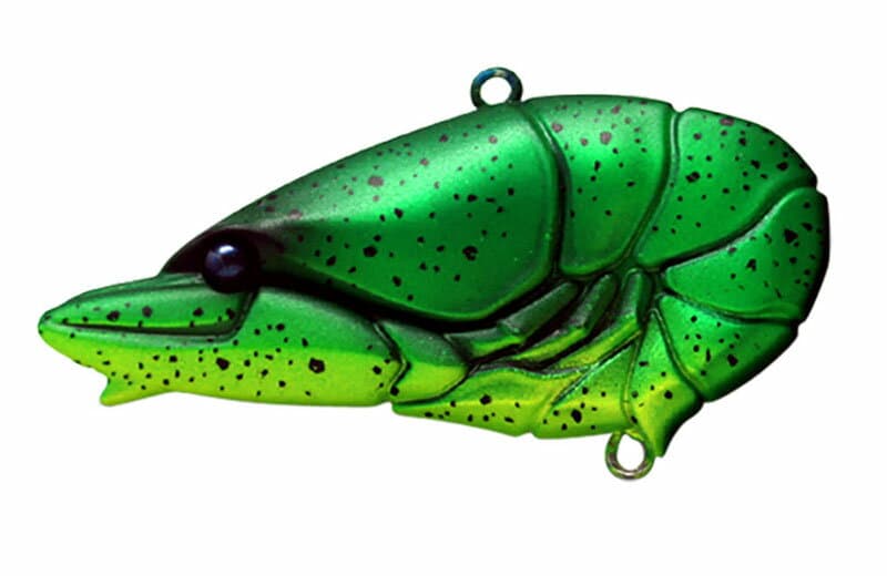 Issei G.C. Zarivib Junior 57 Green Crayfish 2