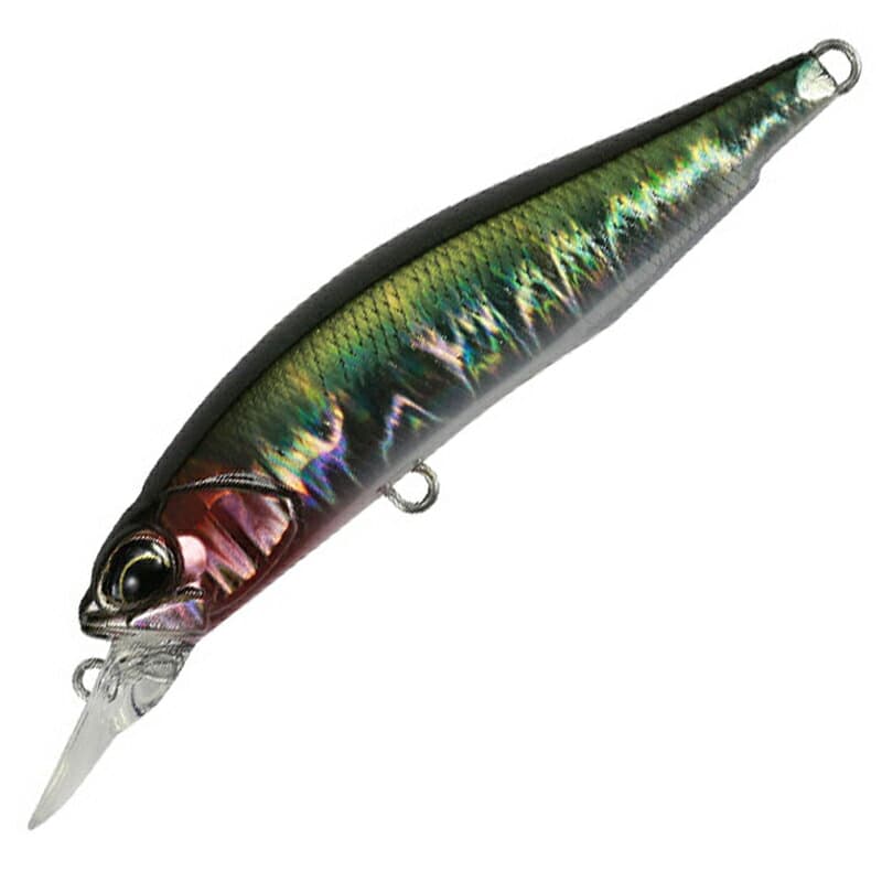 Duo Realis Rozante SP 77mm DPA3504 GA Oikawa