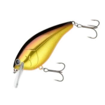Nories Shot Stormy Magnum TDM Rattle 103mm 249 Premium Gold Shad