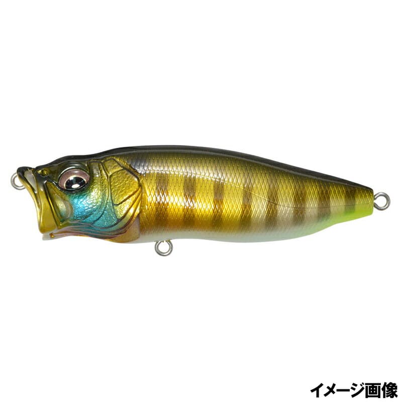 Megabass Popmax PM Wild Gil