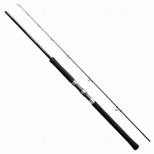 Shimano 19 Salty Advance Shore Jigging S100MH