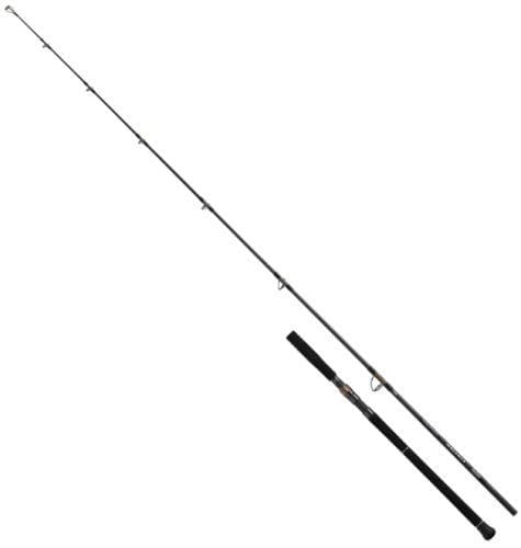 Daiwa 26 Saltiga C Bullswing 80-4